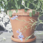 481高频开奖结果最新公布与中奖号码查询 43uzvi