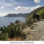 2025302期开奖结果查询与最新公布 4lmr5hq1