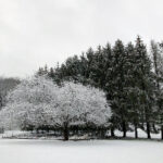 2025316期开奖结果震撼揭晓,幸运号码花落谁家? 57a6u