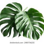 2025305期3D开奖结果最新公布,快来看看你中奖了吗? 681ivr6