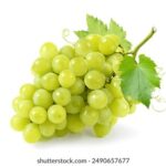 2025293期开奖结果最新公布与详细分析 83v297sx