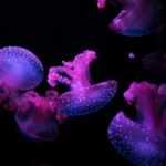 481开奖详情最新公布:完整中奖号码与奖金分配 9oy0z