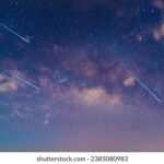 2025313期双色球开奖号码结果查询 9zvgs