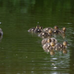 2025338期开奖号码公布及结果查询 di3rp