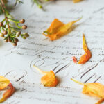 2025323期开奖结果揭晓:幸运号码正式公布 f51zlqu