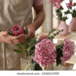 2025325期开奖结果正式公布,幸运号码揭晓 n4ksl