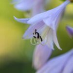 2025303期最新开奖结果查询与中奖号码公布 nxuqj97