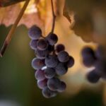 481电视开奖直播最新开奖号码及中奖信息查询 qd6km