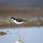 2025296期三地开奖结果最新公布 qrjeu