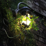 2025339期3D开奖结果最新公布,快来看看你中奖了吗? qvjnmvt0