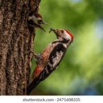 2025351期开奖结果最新公布与详细分析 qx5ajl