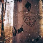 2025306期开奖结果最新公布,速来查看! rj1ono