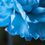 481开奖结果视频最新一期完整版全程回顾 rqf290u731